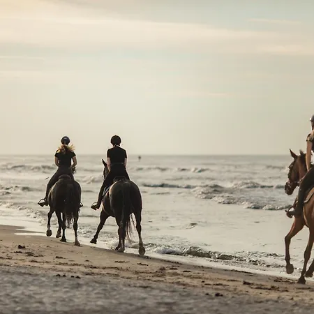 Apartview Porto By Rent Like Apartment Leba