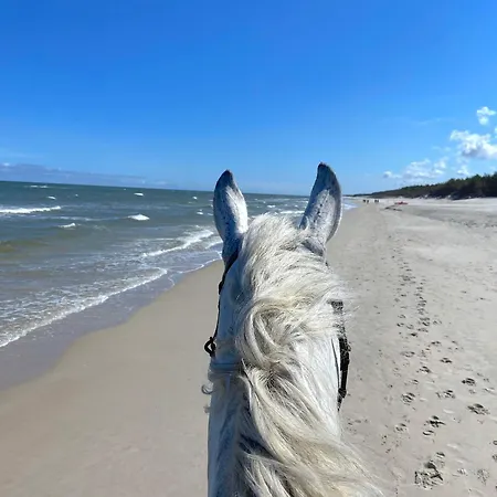 Apartview Porto By Rent Like Apartment Leba