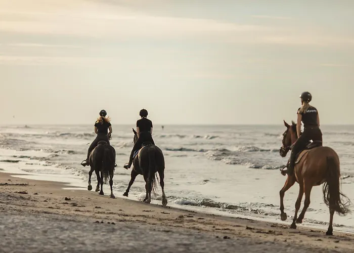 Apartview Porto By Rent Like Apartman Łeba