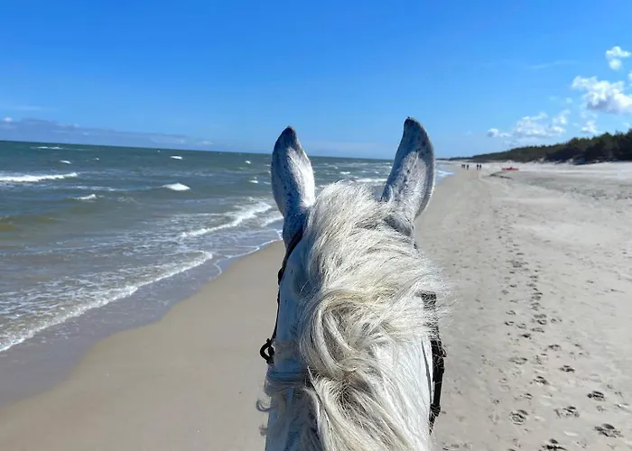 Apartview Porto By Rent Like Apartman Łeba